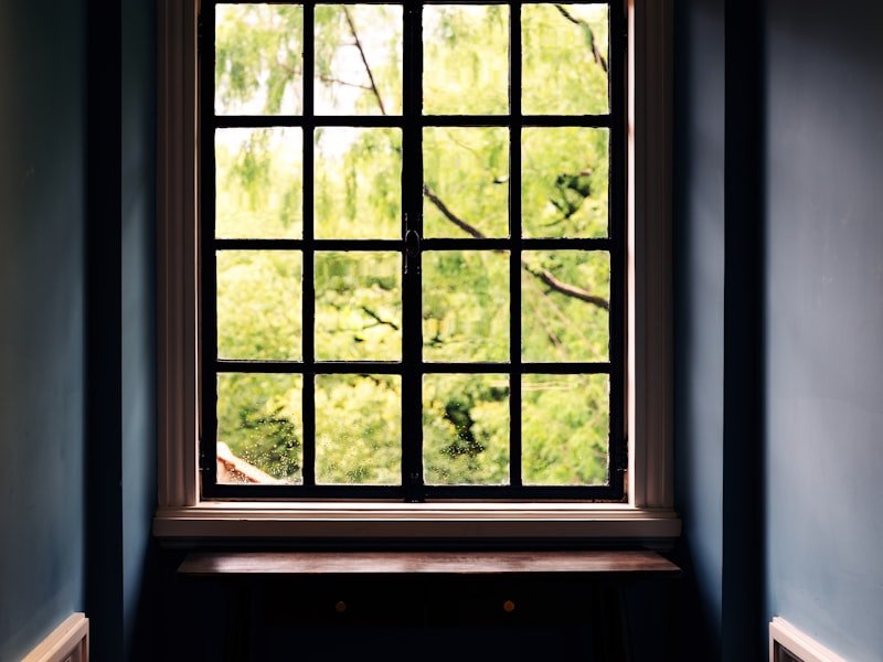 Window opening to a green exterior view